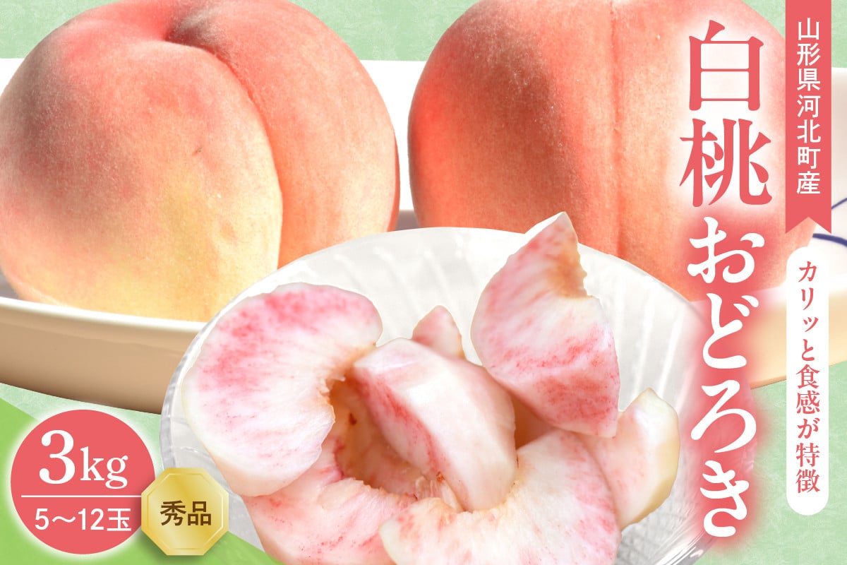 
            【令和7年産】白桃 おどろき 3kg(5～12玉前後) ギフト用 山形県河北町産 【山形eLab】ka074-015
          