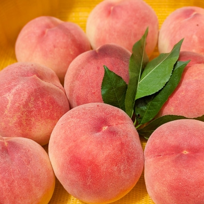 【訳あり品】ご家庭桃・朝もぎ産地直送・3kg以上【配送不可地域：離島】