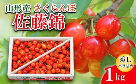 さくらんぼ 佐藤錦 Ｌ1kg バラ詰め 【令和9年産先行予約】FS26-655