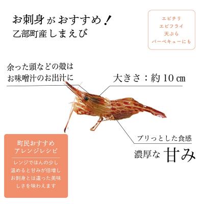 ふるさと納税 乙部町 <シマエビ(冷凍)　1kg>甘く濃厚な味わい! 北海道 道産 国産 乙部町産 しまえび 海老 日本海 |  | 02