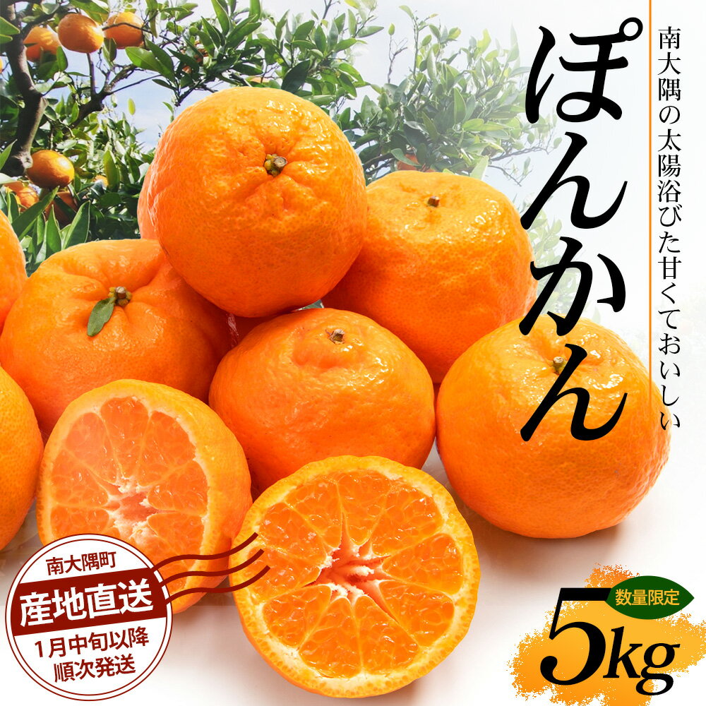 【ふるさと納税】（先行予約）（数量限定）＜2026年1月中旬以降順次発送＞鹿児島県南大隅の太陽浴びた甘くて・おいしい ぽんかん 5kg ID-1