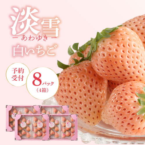★予約受付★杉山いちご農園 白いちご「淡雪（あわゆき）超DX」2027年1月～5月中に順次配送 ／ 送料無料 白苺 さがほのか 淡雪 あわゆき 希少 果物 くだもの フルーツ デザート 予約受付