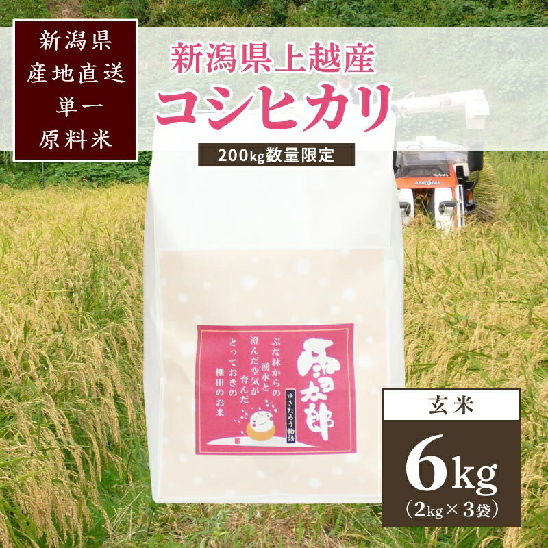 【ふるさと納税】【数量限定】令和7年/新潟上越産「標高480mの山間地で育てた棚田米コシヒカリ」玄米6kg　お届け：ご注文後、2～3週間を目途に順次発送いたします。