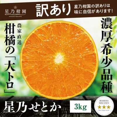 【訳あり】星乃せとか 柑橘の大トロ(3kg)【C45−87】【1535970】