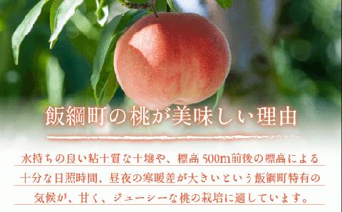 桃 3kg 訳あり 先行予約 2024年 秀品 品種おまかせ 白鳳 , あかつき , なつっこ , いずれか1品種 光センサー選別品 沖縄県への発送不可 2024年8月上旬～下旬発送 長野 飯綱 [1