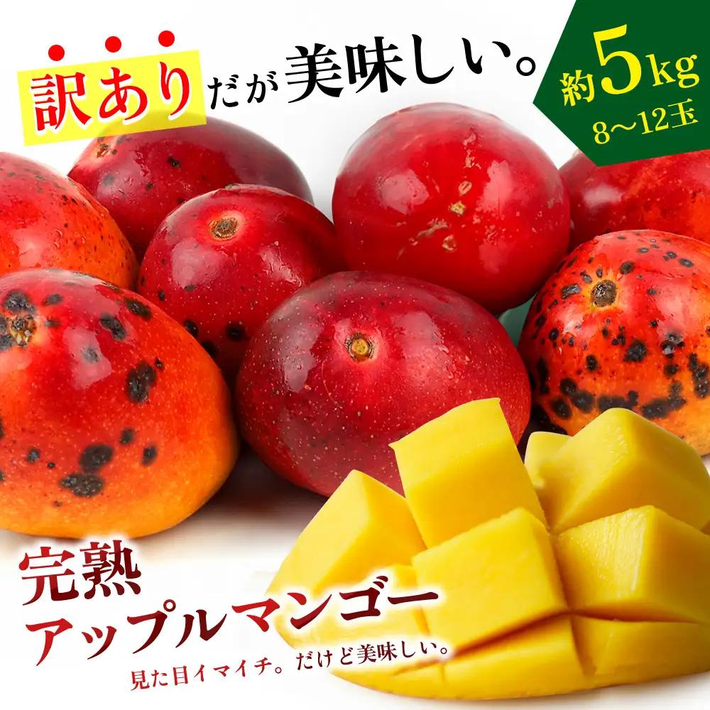 マンゴー【2026年発送】生産者応援！！訳あり完熟アップルマンゴー約5kg