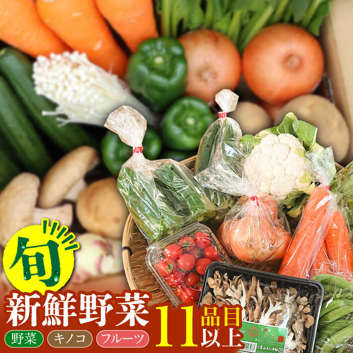 【ふるさと納税】 新鮮 野菜 キノコ 果物 11品目 詰め合わせ / 野菜 やさい きのこ キノコ 詰め合わせ セット / 吉岡青果 / 南島原市 [SCZ004]