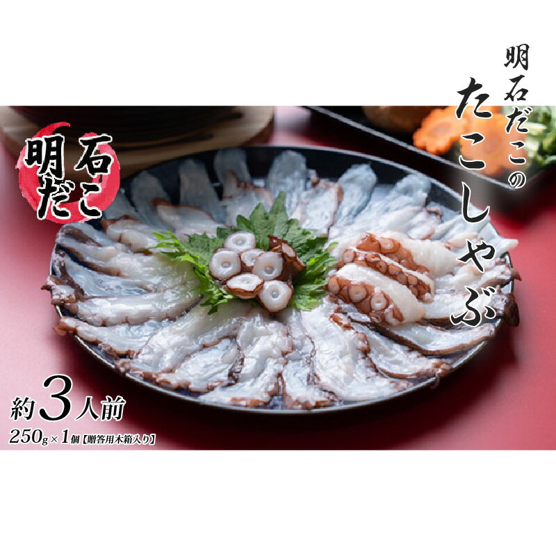 【ふるさと納税】明石だこのたこしゃぶ約3人前 250g×1個【贈答用木箱入り】【明石 海鮮 たこ 真たこ しゃぶしゃぶ】