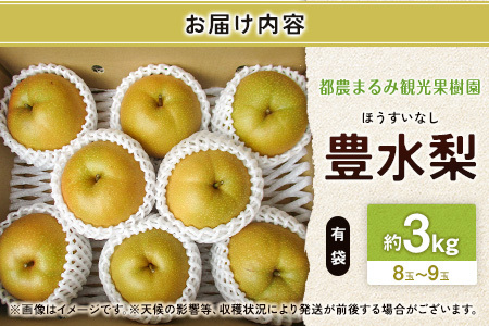 有袋・豊水梨（ほうすいなし）約3kg 8玉～9玉 天然ミネラル栽培 ナシ フルーツ 果物 くだもの 旬 宮崎県