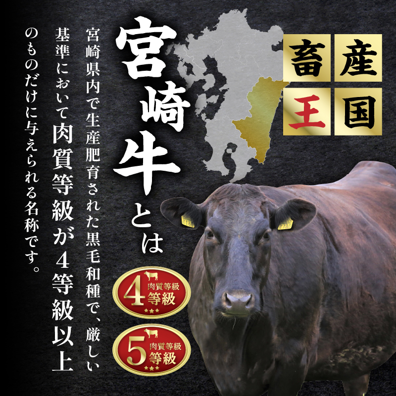 6か月お楽しみ定期便『宮崎牛スペシャル6種セット』総重量4.6kg_T009-002【肉 牛 牛肉 焼肉 国産 人気 ギフト おかず 食品 お肉 BBQ すき焼き 贈り物 送料無料 プレゼント】