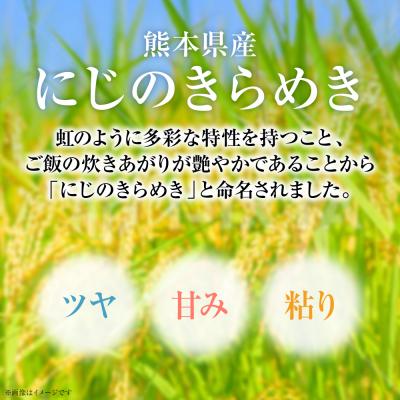 ふるさと納税 八代市 【令和7年産】  熊本県産 にじのきらめき10kg(5kg×2袋)_132-6711 |  | 02