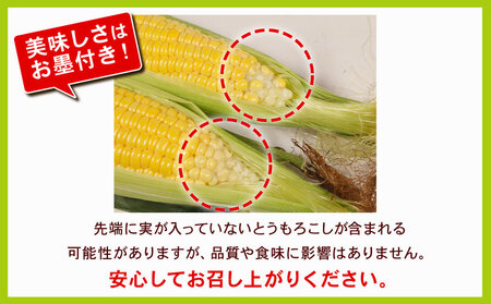 とうもろこし おおもの 5kg 【先行予約】 トウモロコシ