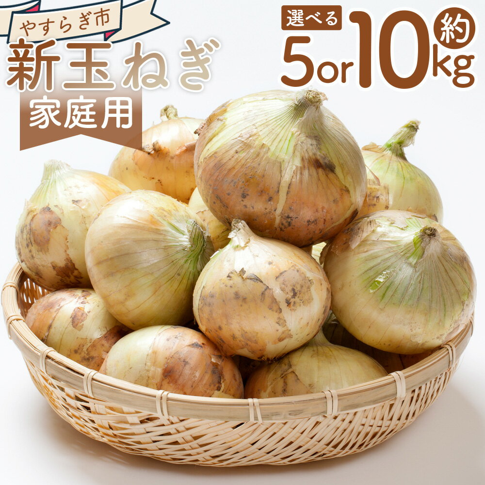 【ふるさと納税】【2026年3月以降順次発送】【選べる内容量】新玉ねぎ (約5/10kg) 家庭用 - 選べる 数量 国産 野菜 青果 たまねぎ タマネギ 玉葱 オニオン ご家庭用 不揃い 傷 やすらぎ市 高知県 香南市【冷蔵】 Ryr-0094