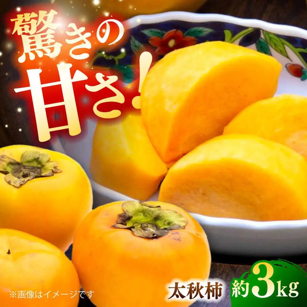 【先行予約】太秋柿 約3kg 柿 カキ フルーツ 果物 秋 【日本フルーツ株式会社】 [ZFJ020]