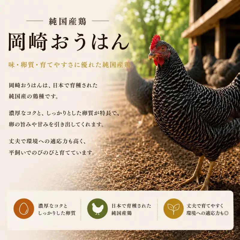 卵 平飼い 自然卵 20個 割れ補償付き