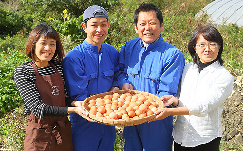 美ら卵養鶏場のたまごチーズケーキ