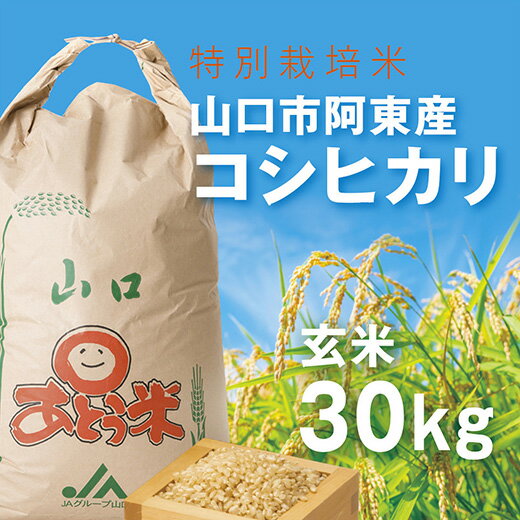 B094【ふるさと納税】特別栽培米阿東産コシヒカリ玄米30kg