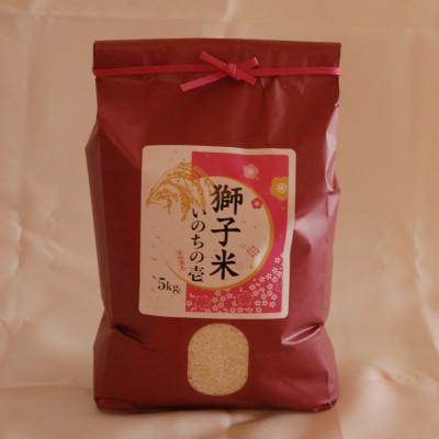 ふるさと納税 石岡市 獅子米いのちの壱　精米5kg【令和6年産】