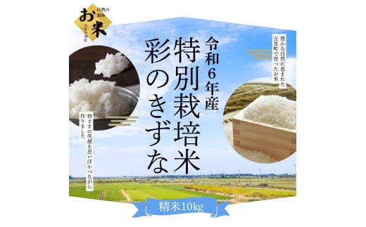 【令和６年産】埼玉県比企郡吉見町産 特別栽培米彩のきずな 【精米】 10㎏
