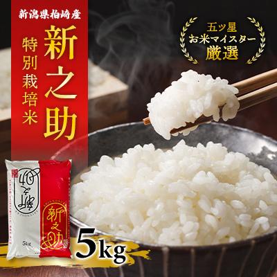 ふるさと納税 柏崎市 【令和7年産】特別栽培米　新潟県柏崎産「新之助」5kg×1袋【五ツ星お米マイスター厳選】白米