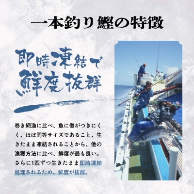 【お中元・のし付き】ふるさと納税 一本釣りかつおたたき(血合い抜き)1.2Kg　A3-123C【配送不可地域：離島】