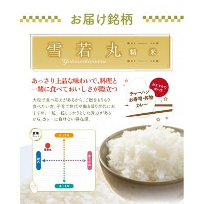 ふるさと納税 酒田市 雪若丸 精米 10kg(5kg×2袋) 令和7年産米 山形県酒田産 |  | 02