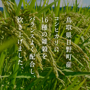 十六雑穀ごはん 雑穀パックご飯 160g×18個 レトルト 雑穀パックごはん 雑穀 鳥取県日野町産コシヒカリ 米 こめ コメ おこめのみかた