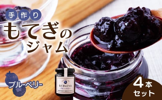 茂木産ブルーベリーを100％使用！ブルーベリージャム 160g×4本  保存料・着色料・香料不使用  | ブルーベリー 果実 フルーツ 手作り 果肉 朝食 トースト パン ヨーグルト 詰め合わせ 保存料 着色料 不使用 おいしい 美味しい 茂木産 もてぎプラザ 栃木県 茂木町