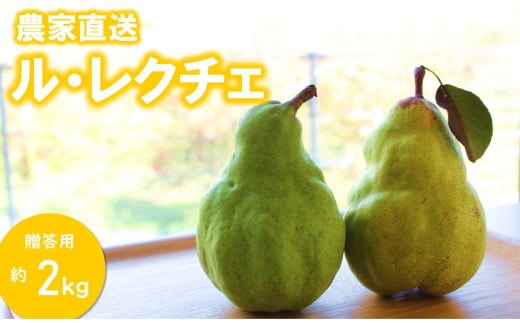 KL03-26A【先行予約】洋梨 ル・レクチェ（大玉）約2kg 贈答／2026年11月中旬頃から配送 //長野県 松川町 梨 洋梨 洋ナシ ルレクチェ 大玉 産地直送 農家直送 農家支援 果物 フルーツ