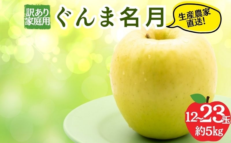 
                  【2026年11月発送】ぐんま名月 訳あり家庭用 約5kg 12～23玉 りんご 果物 訳あり 信州 長野
                