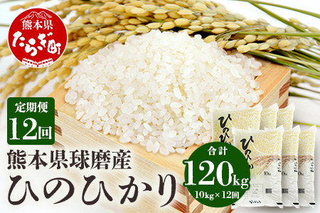 【定期便年12回】令和5年度産 球磨産 ひのひかり 10kg 【 新米 精米 白米 お米 米 ひのひかり ヒノヒカリ 定期便 定期発送 】 036-0176