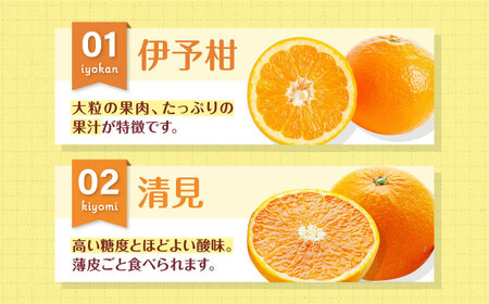 【先行予約】【3月上旬発送】柑橘おまかせセット 愛媛県大洲市/沢井青果有限会社[AGBN053]