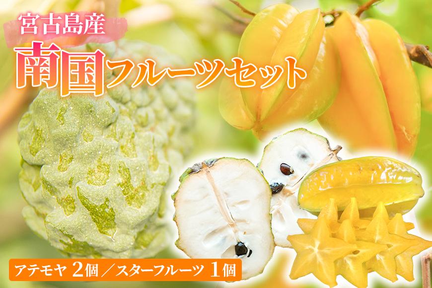 宮古島産　南国フルーツセット（アテモヤ2個、スターフルーツ1個）（CV08）