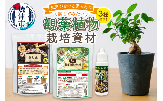 
a12-170　観葉植物栽培資材セット 肥料 液肥 園芸
