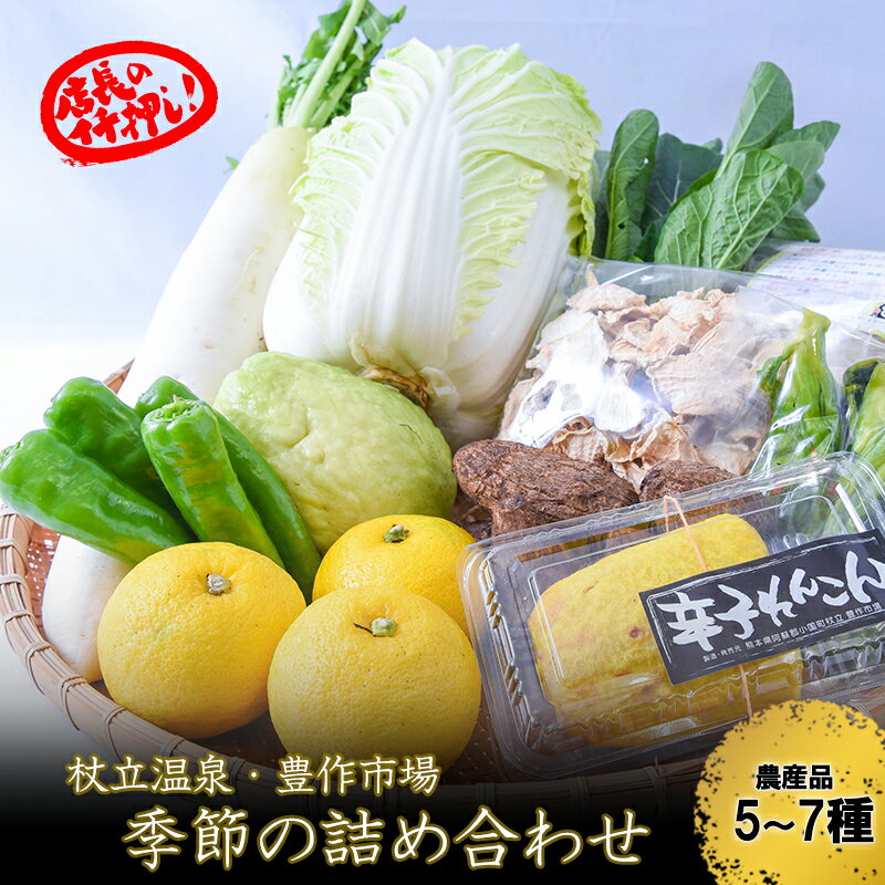 【ふるさと納税】野菜セット 加工品セット おまかせ 5〜7種 阿蘇 小国 杖立温泉 産地直送 国産 ギフト プレゼント 辛子れんこん お歳暮 ご自宅用 ふるさと納税 冷蔵 送料無料 【地場産品：類型1】