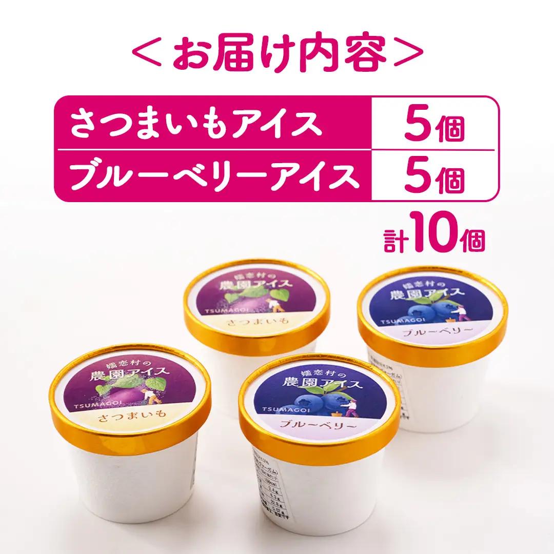 嬬恋村 の 農園 アイス 食べ比べセット 10個入（ さつまいも ・ ブルーベリー 各5個 ） [AT023tu]