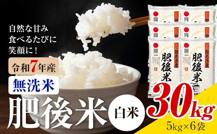 熊本県産 肥後米 無洗米 白米 30kg 1袋5kg 米 お米 令和7年産 九州産 熊本県産 ブレンド米 送料無料《30日以内に出荷予定（土日祝除く）》 無洗米 白米 米---026-3015---