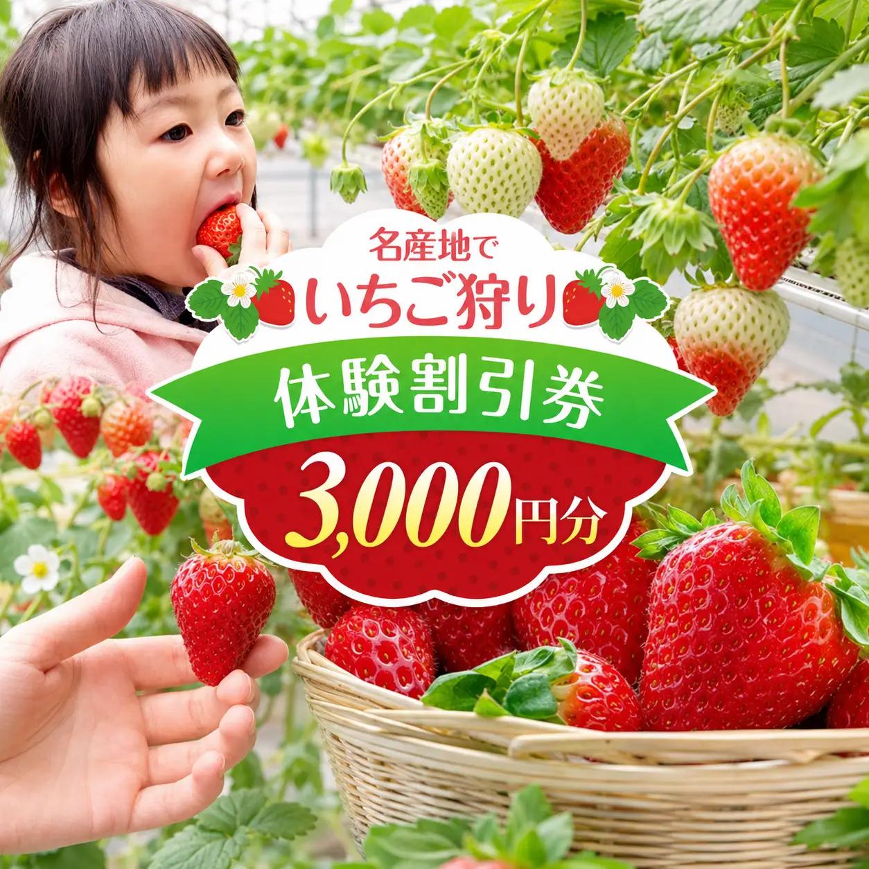 いちご狩り 体験割引券 3000円割引券
