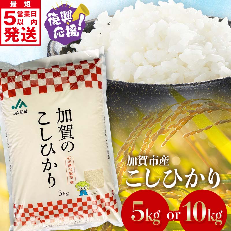 【ふるさと納税】【選べる容量】 復興応援米 こしひかり 5kg 10kg 精米 令和6年産 最短5営業日以内発送 銘柄米 お米 米 ギフト 贈り物 グルメ 食品 復興 震災 コロナ 能登半島地震 復興支援 北陸新幹線 F6P-2394var