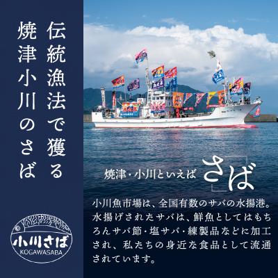 ふるさと納税 焼津市 国産 天然 塩さば フィレ 肉厚 個包装(a16-194) |  | 02