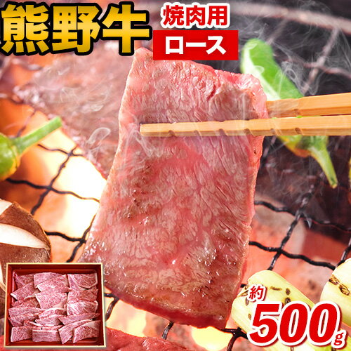 【ふるさと納税】熊野牛 ロース 焼肉用 500g 粉山椒付き 澤株式会社(Meat Factory)《30日以内に出荷予定(土日祝除く)》 和歌山県 日高町 熊野牛 牛 うし 牛肉 ロース 焼肉 山椒 送料無料
