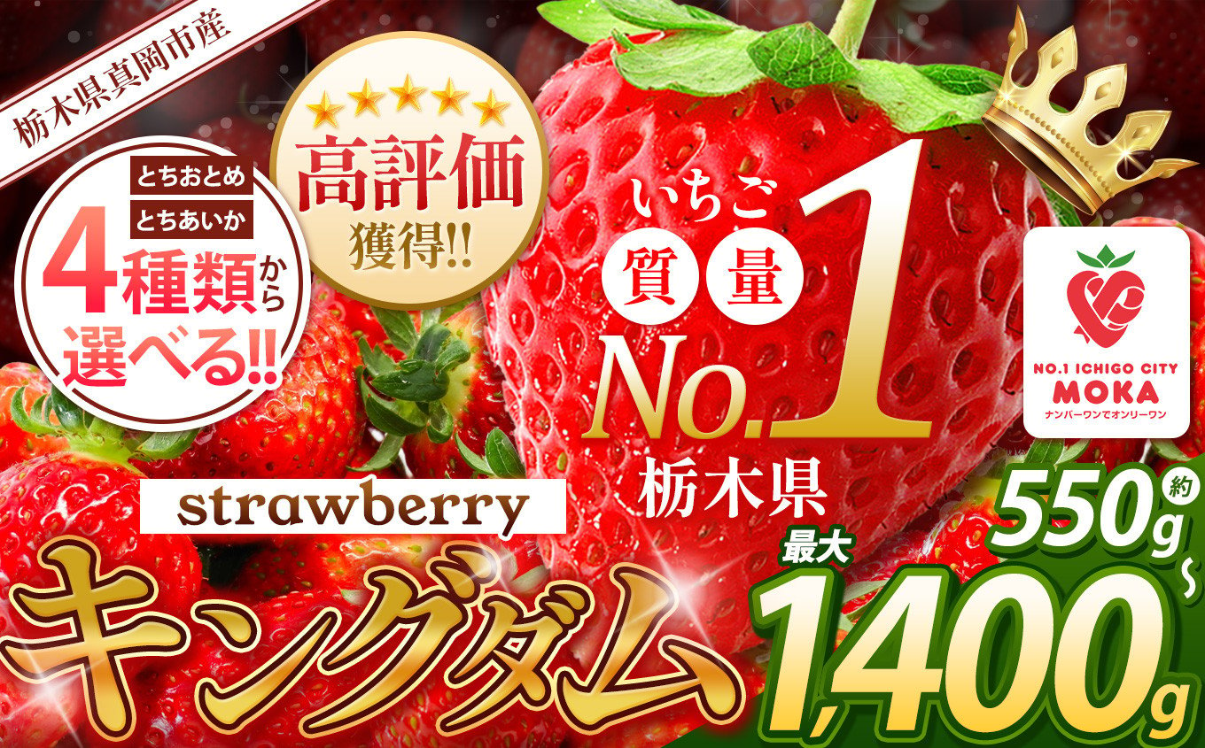 人気超上昇!! とちあいか いちご 1200g ( 4パック ) 期間限定 数量限定｜ いちご日本一 ミス苺 応援 農林水産省 最多獲得 苺 ストロベリー 人気 果物 フルーツ 真岡市 栃木県 限定品種 送料無料 1月 2月 3月発送 | 10,000円 1万円 | 大小混合 サイズ 小分け