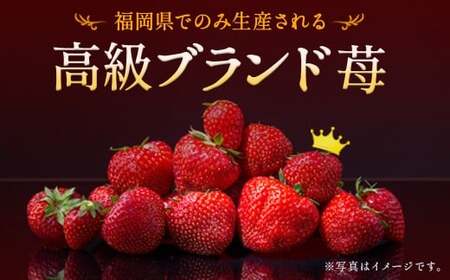 いちご 「あまおう」 約270g×6パック 計約1620g 苺 イチゴ 果物 フルーツ 【2027年2月上旬～2027年3月下旬発送】