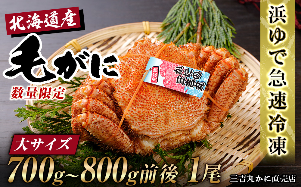 【大サイズ】北海道産 冷凍ボイル毛ガニ (700g-800g前後) 1尾  蟹 かに カニ 毛ガニ AS192