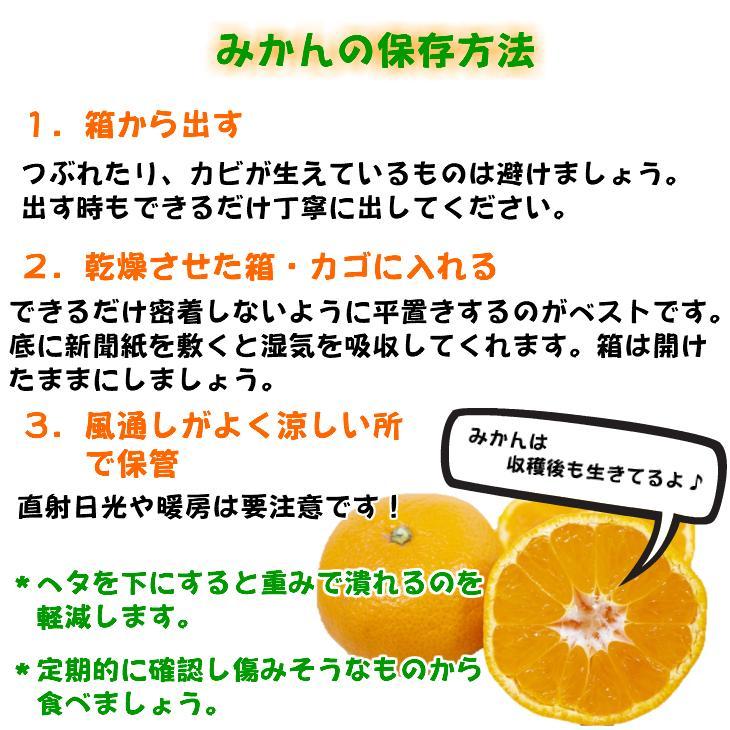 高級みかん秀 田村みかん 約5kg 【2025年12月発送分】【NGT9w】