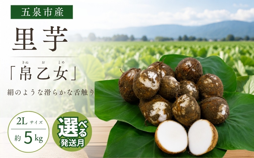 
                  さといも 帛乙女 5kg ( 2L ) 選べる配送月  | 里芋 サトイモ きぬおとめ 特産 名産 産地直送 贈答 贈り物 ギフト お取り寄せ おすすめ 新潟県 五泉市 五泉市園芸組織連絡協議会
                
