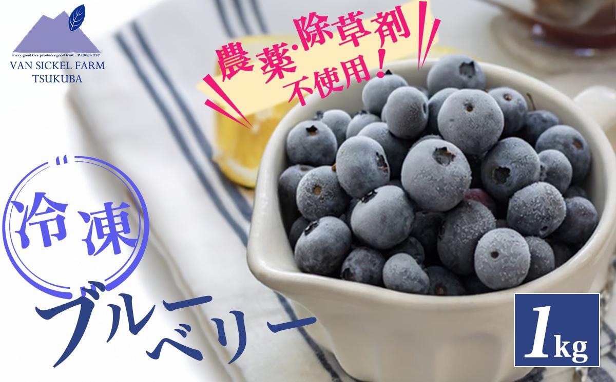 
                  農薬不使用！トムの冷凍ブルーベリー 1kg【 冷凍 ブルーベリー 国産 ベリー スイーツ トッピング 栄養 ジャム 果実 果物 パンケーキ ヨーグルト 美容 健康 朝食 茨城県 つくば市 】
                
