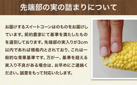 とうもろこし 15本｜とうもろこしとうもろこしとうもろこし ゴールドラッシュ