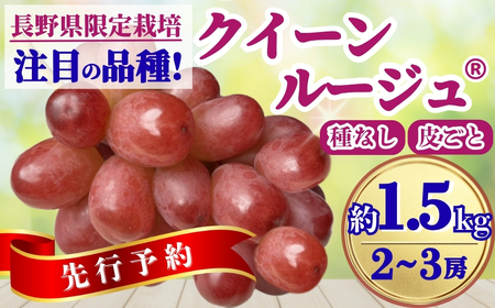 ぶどう クイーンルージュ® 約2kg(3~5房)｜ ぶどう