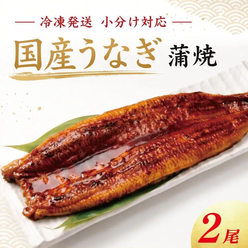 うなぎ 蒲焼 国産 小サイズ 2尾